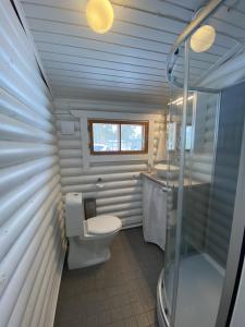 PålsböleBastöstugby stuga 17的一间带卫生间和水槽的小浴室