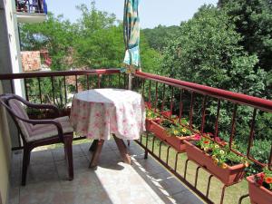 弗尔尼亚奇卡矿泉镇Apartman Marko的植物阳台的桌椅