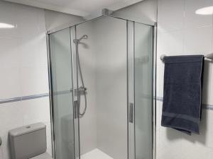 阿维拉El sitio de mi recreo Ávila的浴室里设有玻璃淋浴间,备有蓝色毛巾