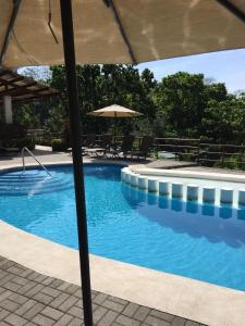 蓬塔雷纳斯Casa de playa con piscina y jacuzzi privado的一个带遮阳伞和椅子的大型游泳池