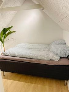 锡尔克堡Lejlighed i naturskønt område的一张床上有两个枕头的房间