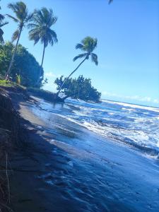 托尔图格罗Cabañas Daneysha的棕榈树海滩和海洋