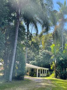 库兰达Botanica House Kuranda的前面有棕榈树的房子