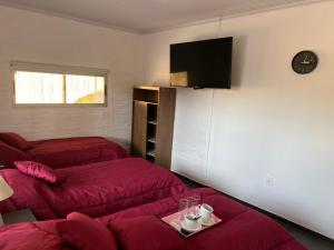 派桑杜Apart del Este Loft 6的客房设有两张床、一张沙发和一台电视。