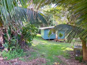 KealakekuaGingerhill Farm Retreat的一座带房子和棕榈树的院子