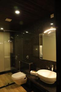 乌代浦Clover Inn的一间带水槽、卫生间和镜子的浴室