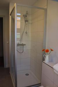 赖因斯贝格St. Laurentius-Blick的带淋浴的浴室和玻璃门