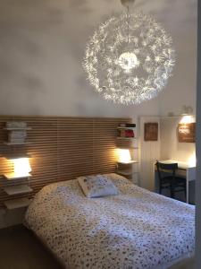 瓦拉洛蓬比亚Appartamento Bella Vista -Malpensa Airport-Leonardo Accademy的一间卧室配有一张床和一个吊灯