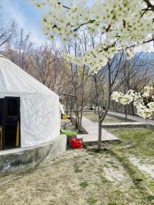 锡卡都APEX Le Yurt Skardu的公园里一棵树上的白色帐篷