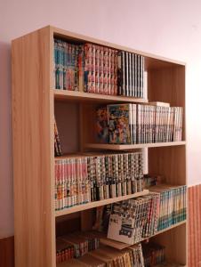 暹粒BLANK GUEST HOUSE的书架上装满了dvds