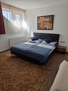 MalenoviceUbytování Pod Borovou的一间卧室配有一张带蓝色床单和地毯的床。