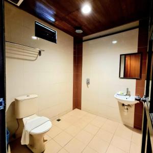 珍南海滩朗古拉男爵度假村的一间带卫生间和水槽的浴室