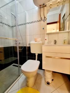 巴斯卡ARA-ZAROK的一间带卫生间和淋浴的浴室