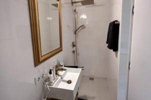 林茨Exclusive apartement in historic center的一间带水槽、镜子和淋浴的浴室