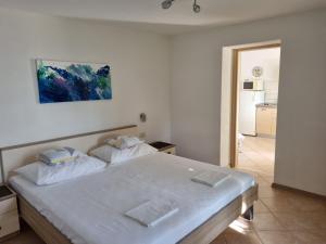 布雷拉Guesthouse Dominović的卧室配有一张带两个枕头的大白色床