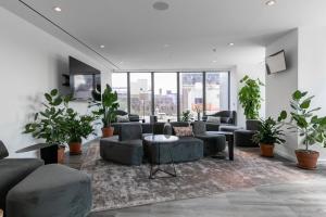 布鲁克林Clinton Hill 2br w gym pool wd nr Barclays NYC-1025的带沙发和盆栽植物的客厅