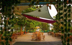 莫尔吉姆Pappi Chulo Morjim的户外庭院配有桌椅和树木。