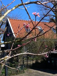 柯德科克het zwaluwnest的红屋顶的房子和一棵开粉红色花的树