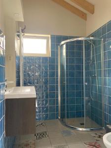 YdeNuver Plekkie的蓝色瓷砖浴室配有淋浴和盥洗盆