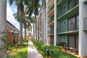 劳德代尔堡Courtyard by Marriott Fort Lauderdale East / Lauderdale-by-the-Sea的公寓大楼拥有棕榈树和人行道
