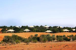 Murquab迪拜阿玛哈豪华精选沙漠水疗度假酒店的沙漠中一群树丛中的小屋