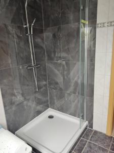 克桑滕Inseldorf Wardt的浴室设有玻璃门淋浴和卫生间