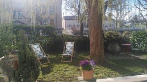 日内瓦霍勒格斯酒店的两个坐在树旁的草上