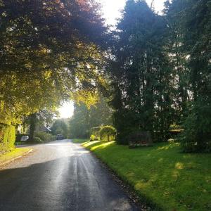 WelburnEntire house, Crambeck,Welburn, near Castle Howard的一条有树木和草地的路