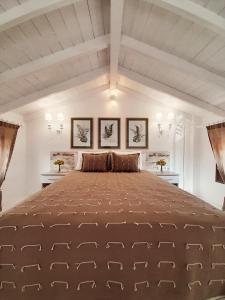 圣尼古拉奥斯AGORA LUXURY LOFT的一间大卧室,房间内设有一张大床