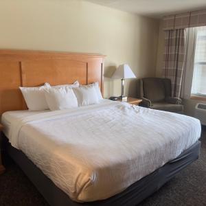 德卢斯Duluth Inn & Suites Near Spirit Mountain的酒店客房带一张大床和一把椅子