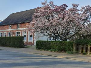 奥尔登堡Gartenblick的房子前有粉红色花的树