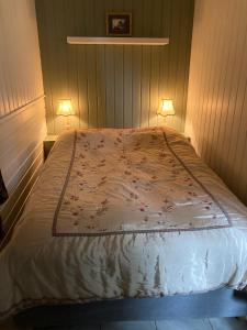 拉尔维克Verningen Apartment的一间卧室配有一张带两盏灯的床。