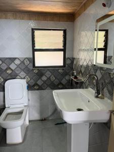 大吉岭Kheychun homestay的一间带水槽、卫生间和镜子的浴室