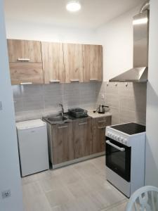 索科矿泉村Relax的厨房配有木制橱柜和炉灶烤箱。