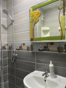 DerouaCasablanca Airport Appartement的一间带水槽和镜子的浴室