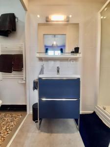 雷恩Le Cocon的客房内的浴室设有蓝色水槽