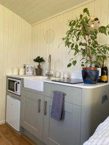 康威Shepherds Hut, Conwy Valley的厨房配有水槽和台面上的植物
