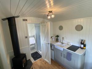 康威Shepherds Hut, Conwy Valley的厨房配有水槽和炉灶