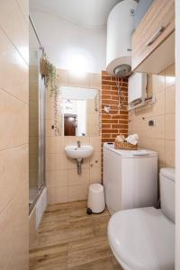 克拉科夫St. Miasto Studio Kraków的一间带卫生间和水槽的小浴室