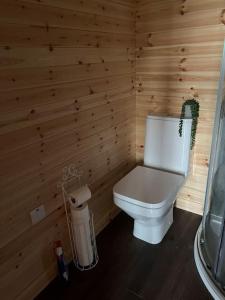 雷德鲁斯A Unique & Tranquil Smallholding Retreat的浴室设有木制墙壁上的白色卫生间