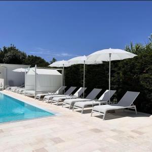 普罗奇达海狮住宿加早餐旅馆的游泳池旁的一排躺椅和遮阳伞
