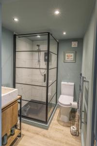 ShouldhamPark Lane Studio, Shouldham的带淋浴和卫生间的浴室