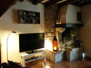 圣埃尼米耶Ste ENIMIE GITE terrasse privative vue imprenable的一间带电视和壁炉的客厅