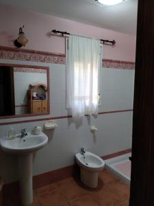 马塔拉斯卡尼亚斯Matalascañas的一间带水槽、卫生间和镜子的浴室