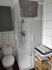 Tilléresidence julius aéroport tillé classé 3 étoiles的带淋浴和卫生间的白色浴室
