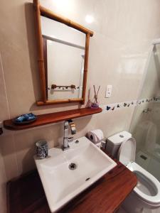 阿布拉奥Casa Iluminalia的一间带水槽、镜子和卫生间的浴室