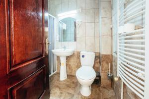古拉哈莫卢洛伊Hotel Simeria的一间带卫生间和水槽的浴室