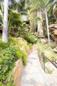 洛杉矶Bel Air Luxury Villa的棕榈树花园的一条小径和围栏