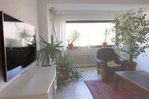TrassemFerienhaus La Meu的客厅配有椅子和盆栽植物