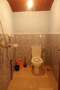 泰夫劳特Tigmino Maison D'or的一间带卫生间和淋浴的浴室